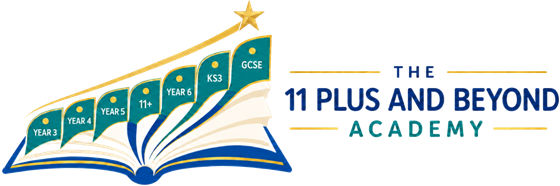 11 Plus Academy